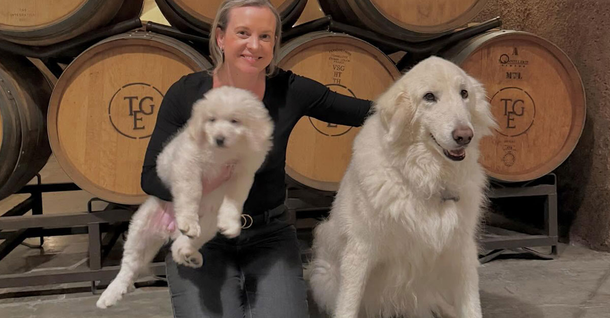 This California Winery Spent $50,000 Cloning its Vineyard Dog