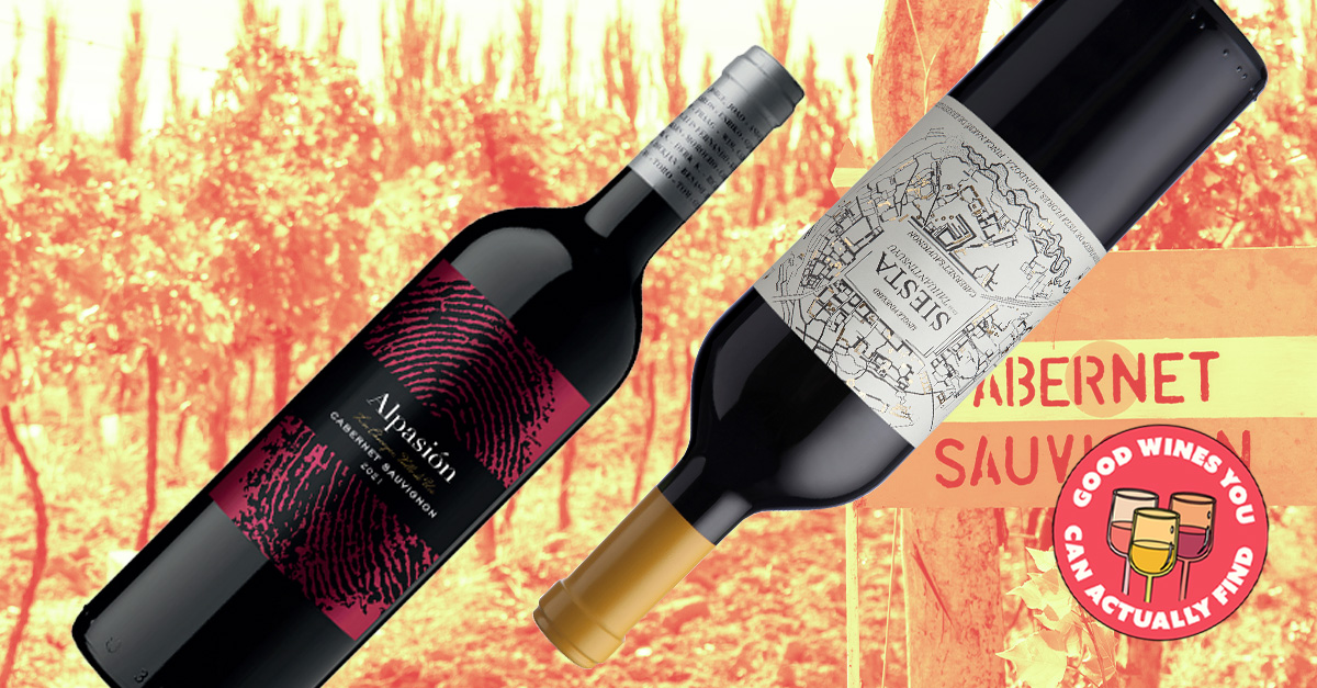 6 of the Best Cabernet Sauvignons From Argentina